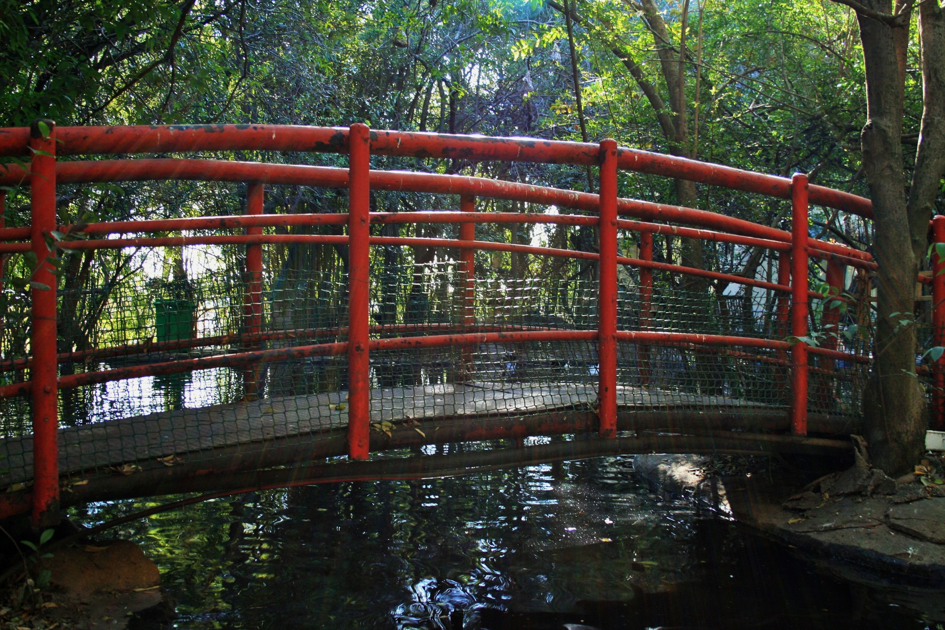 stream bridge red free photo