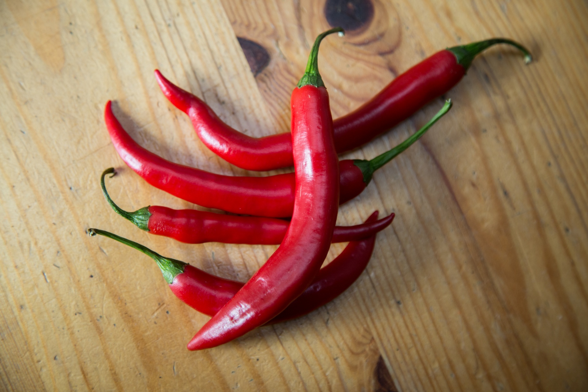 pepper red paprika free photo
