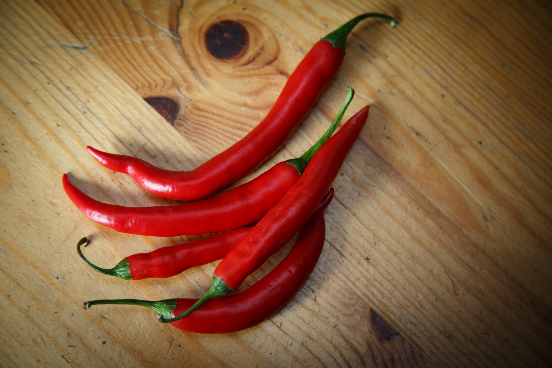 pepper red paprika free photo