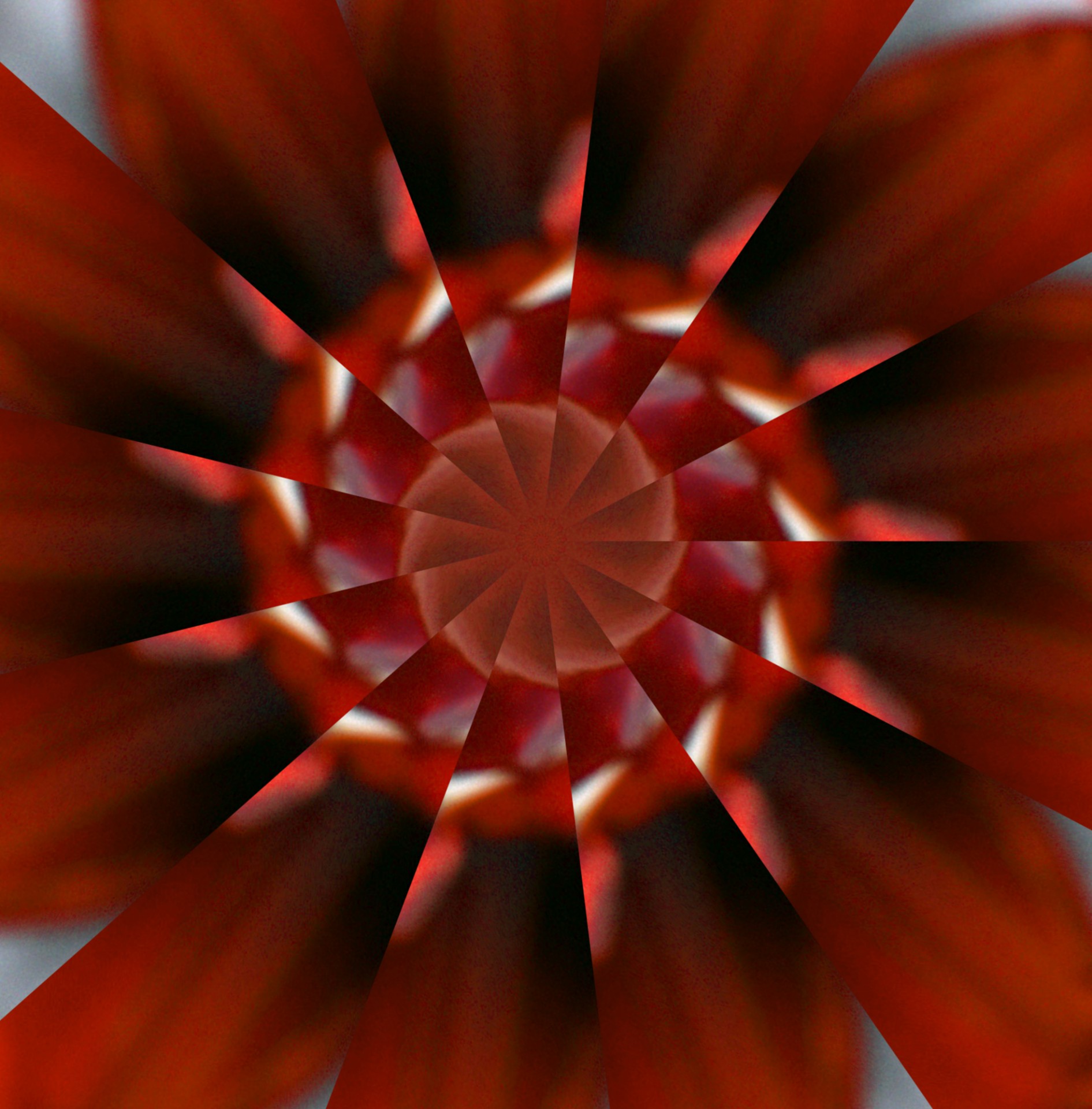 red black pinwheel free photo