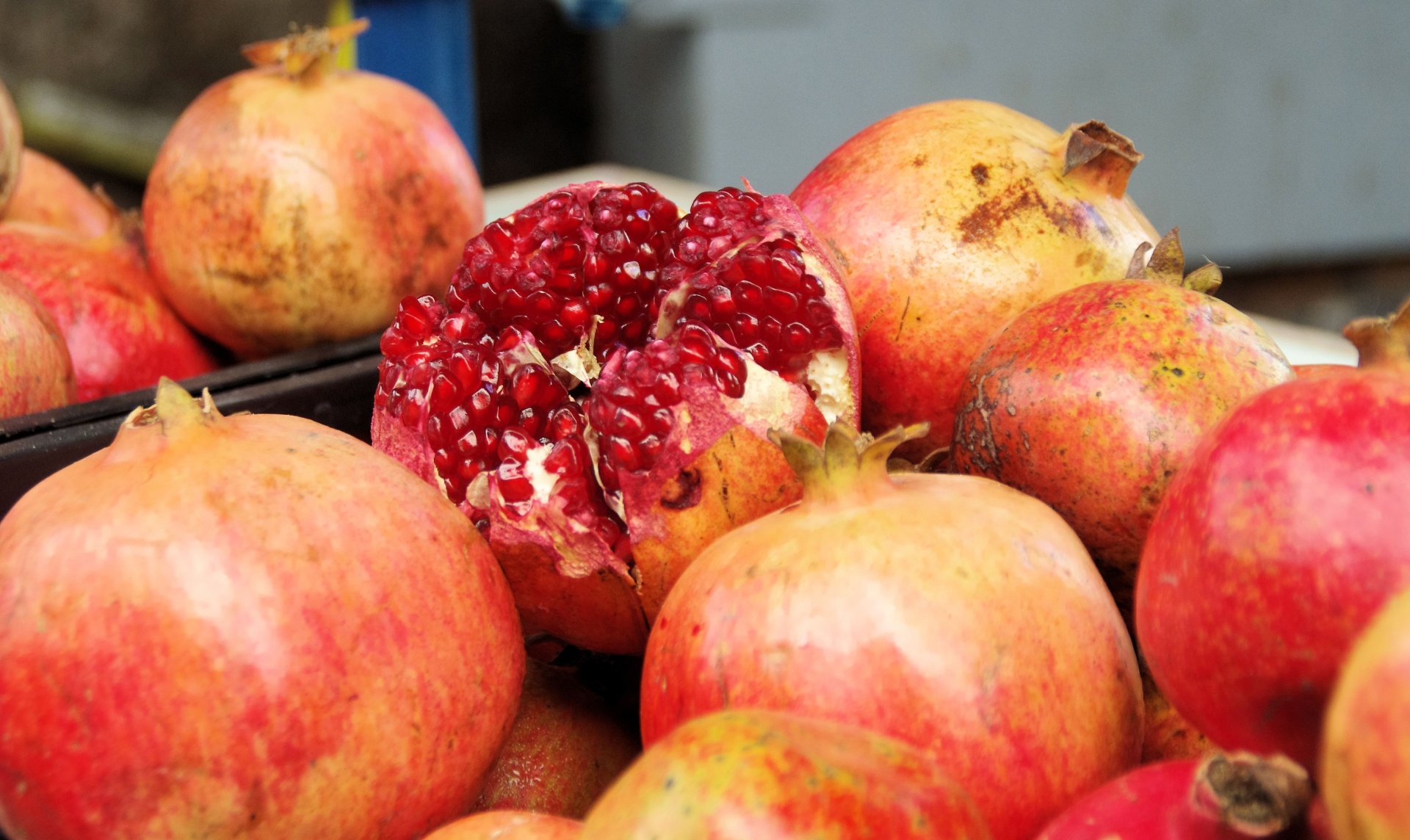 red pomegranates sold free photo