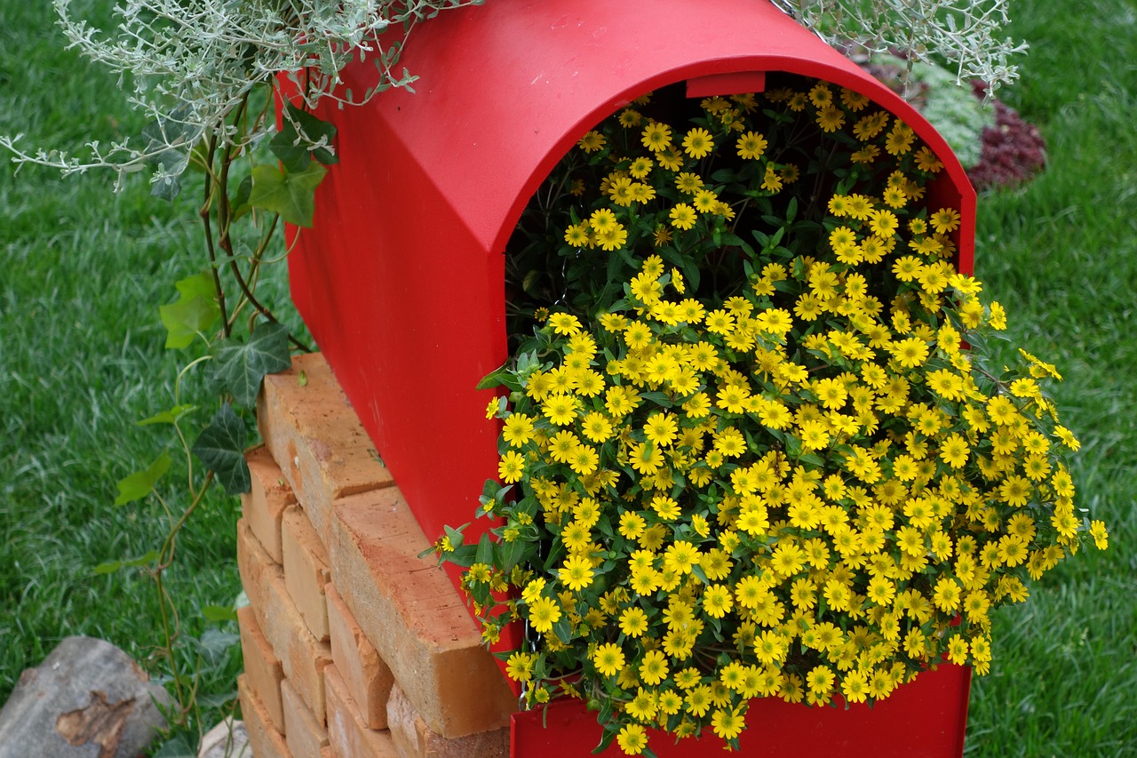 red postbox yellow flower flower exhibition free photo