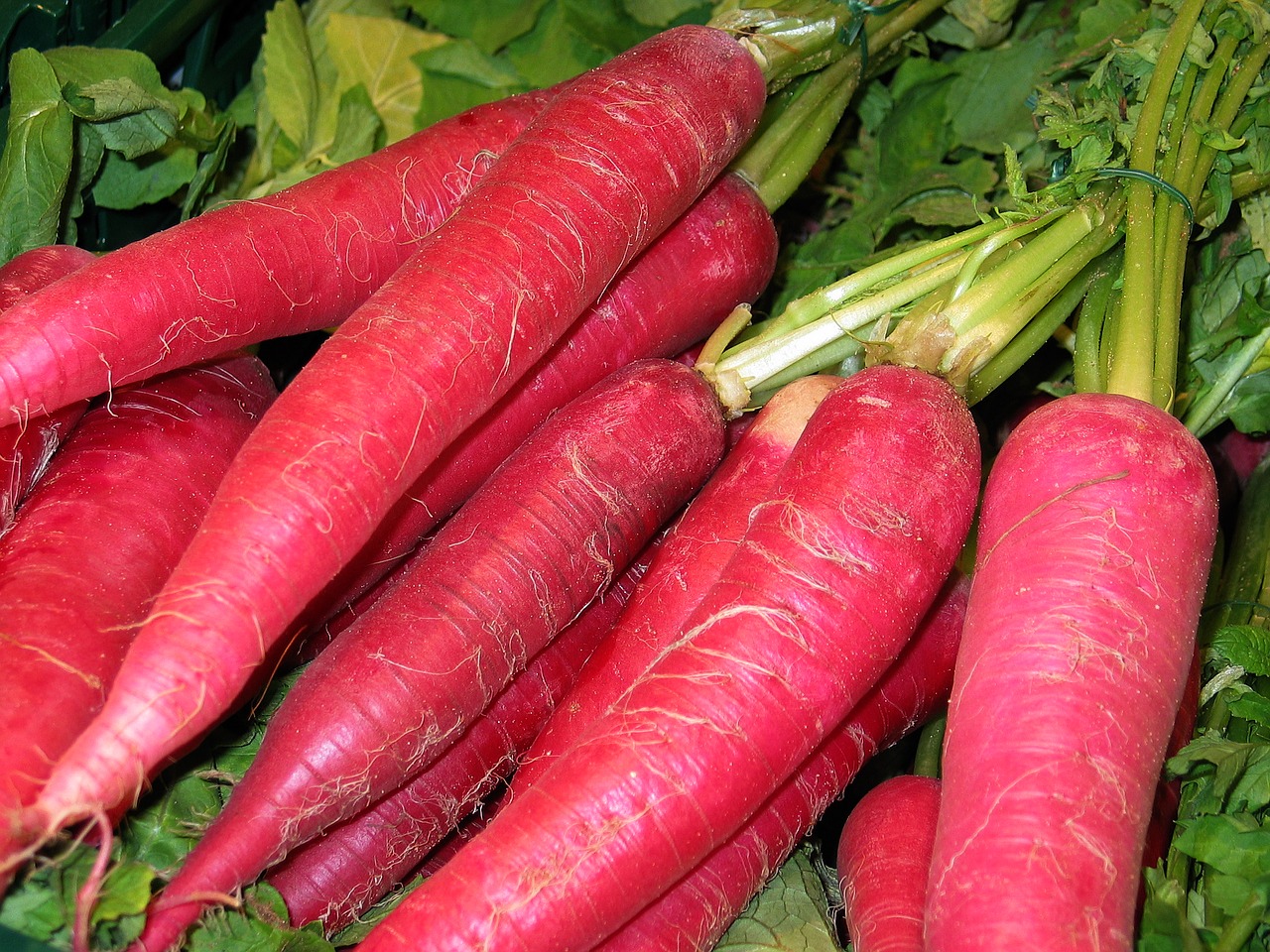 red radish vegetables eat healthy free photo
