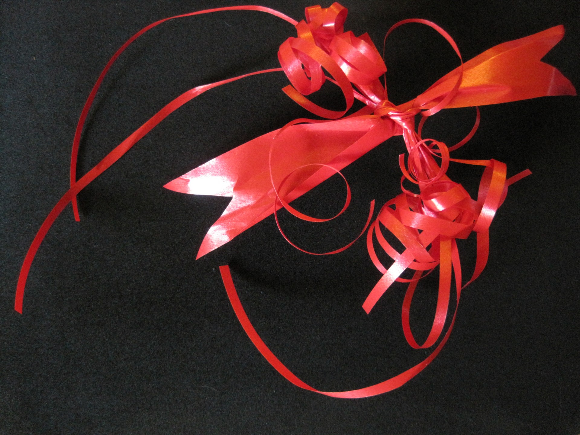 ribbon bow red free photo