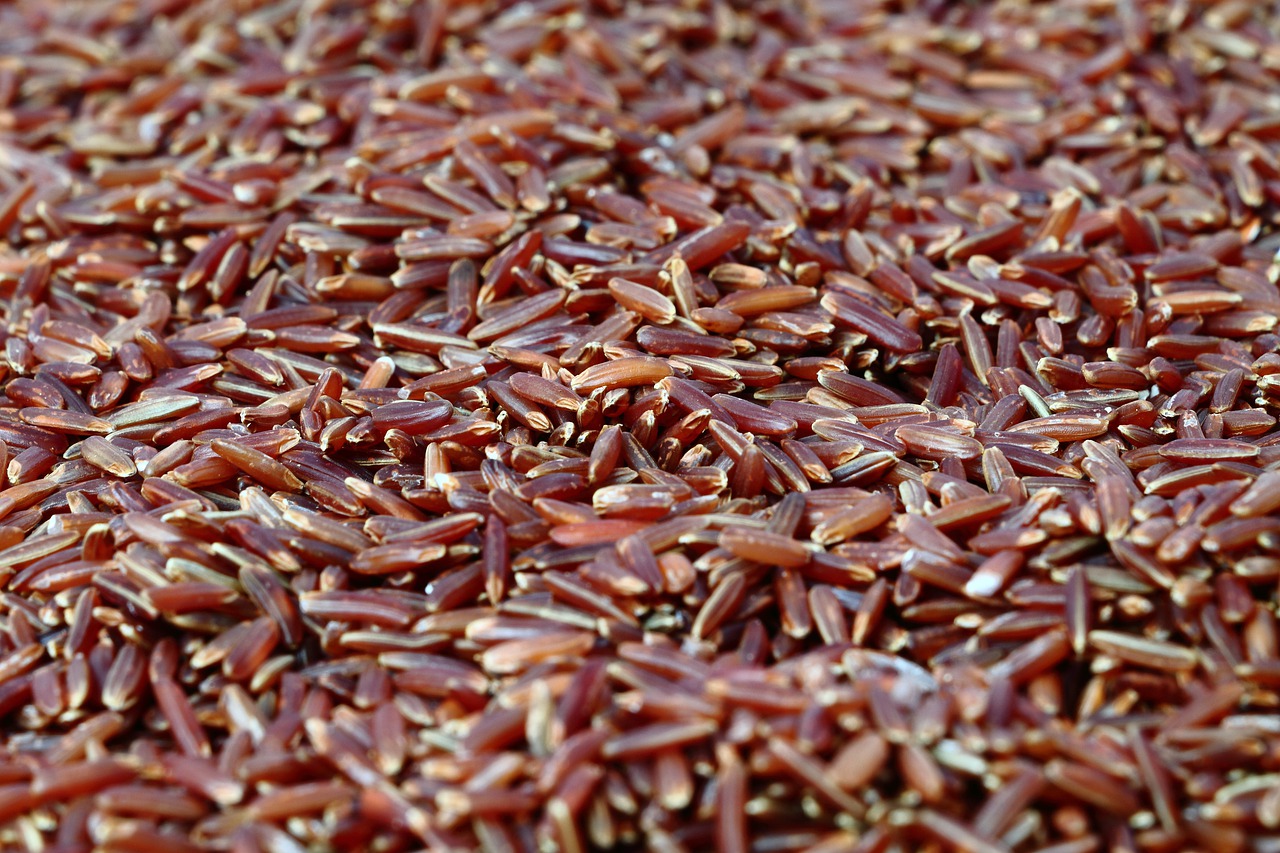 red rice  rice  healthy free photo