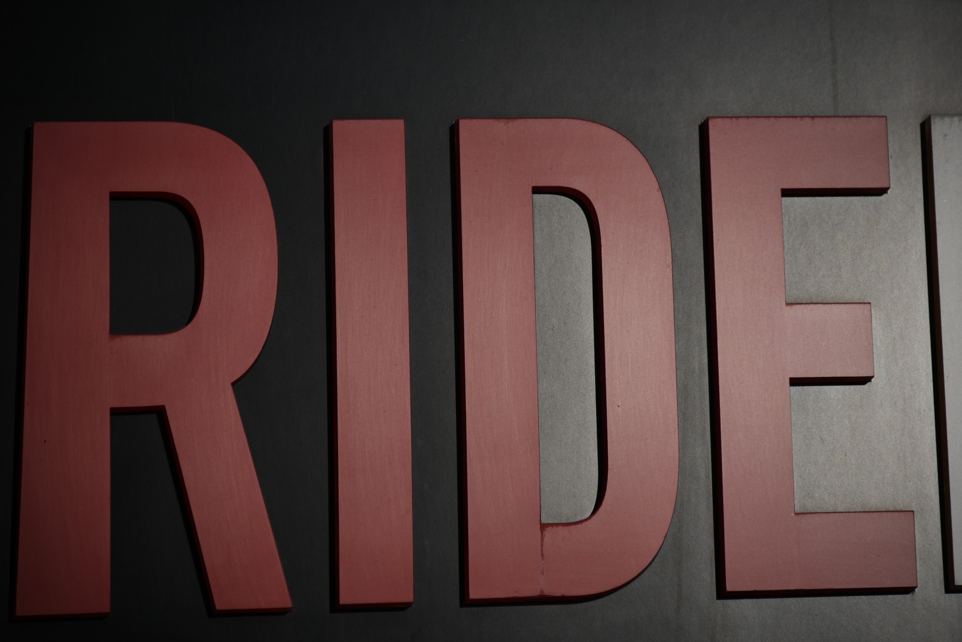 ride rider sport free photo