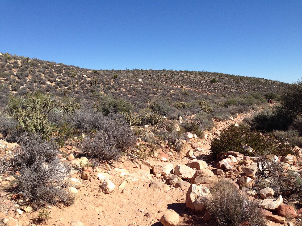 red rock desert land free photo