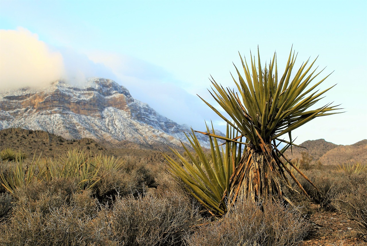 red rock mountains panorama free photo