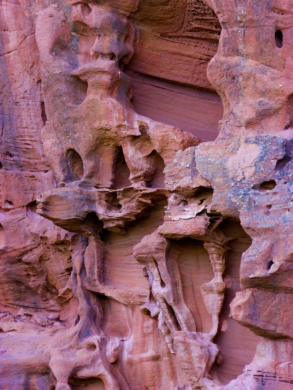 red rock erosion forms free photo
