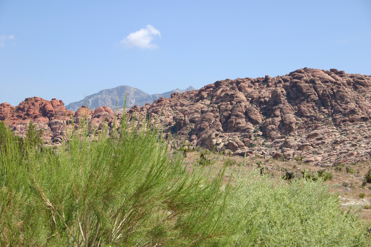 red rock canyon las vegas perspective free photo