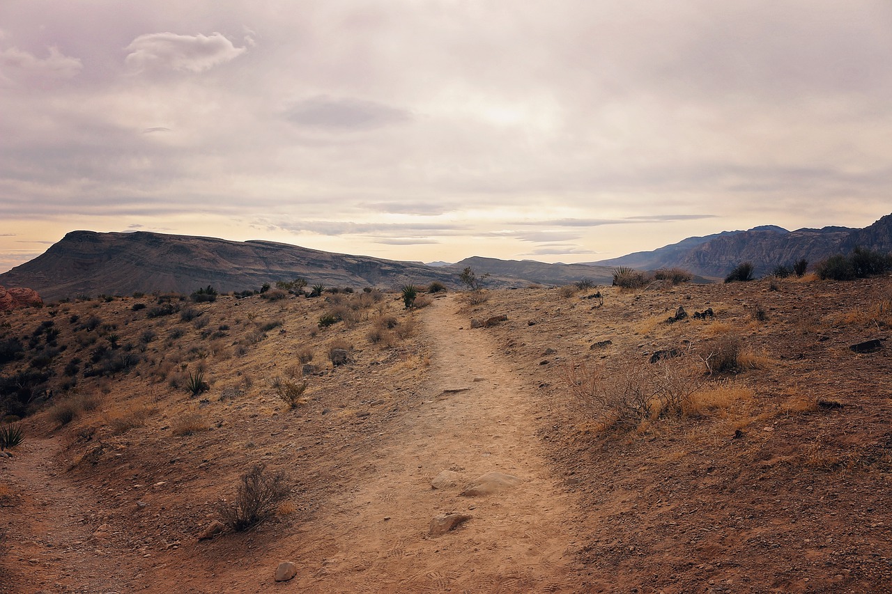 red rock canyon las vegas nevada free photo