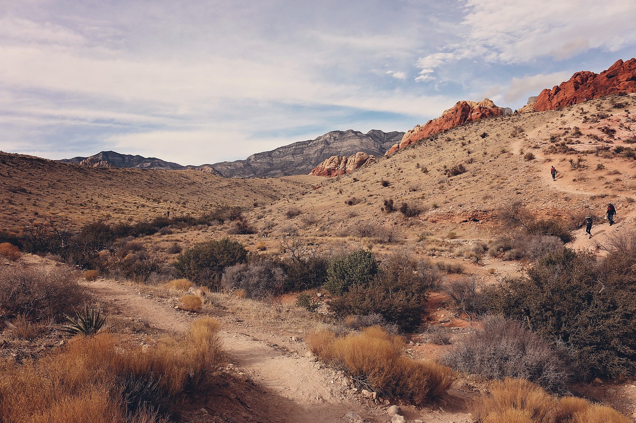 red rock canyon las vegas nevada free photo