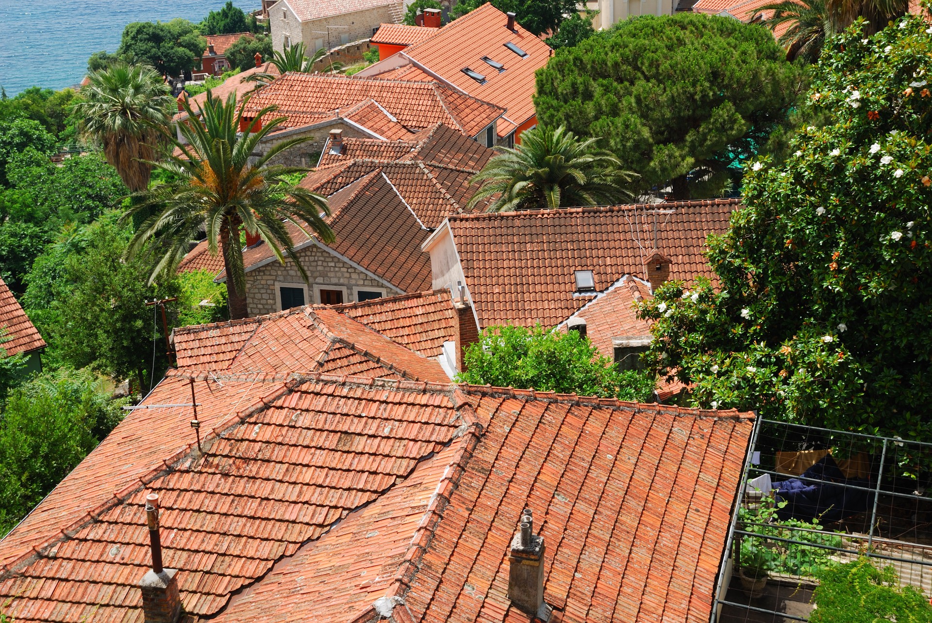 red roofs herceg novi montenegro free photo