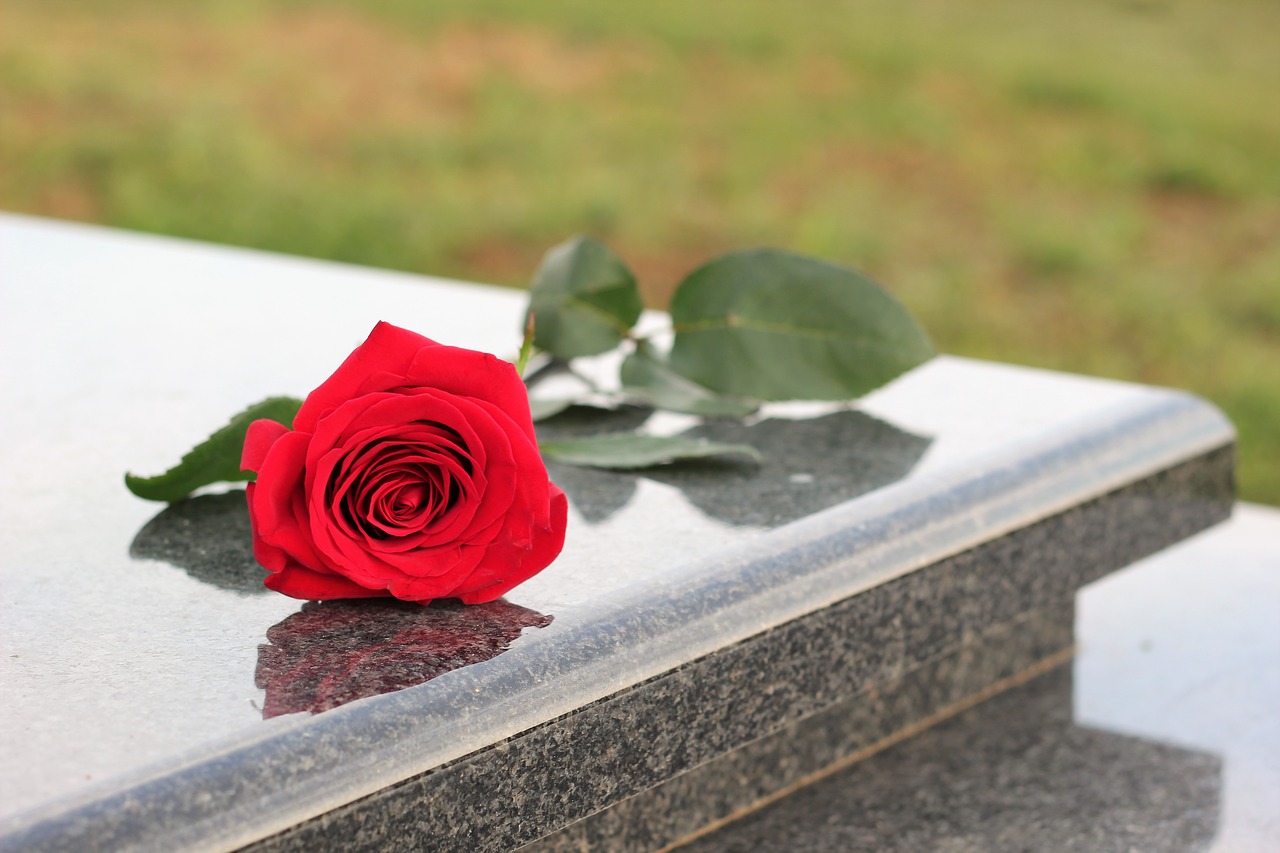 red rose grey marble gravestone free photo