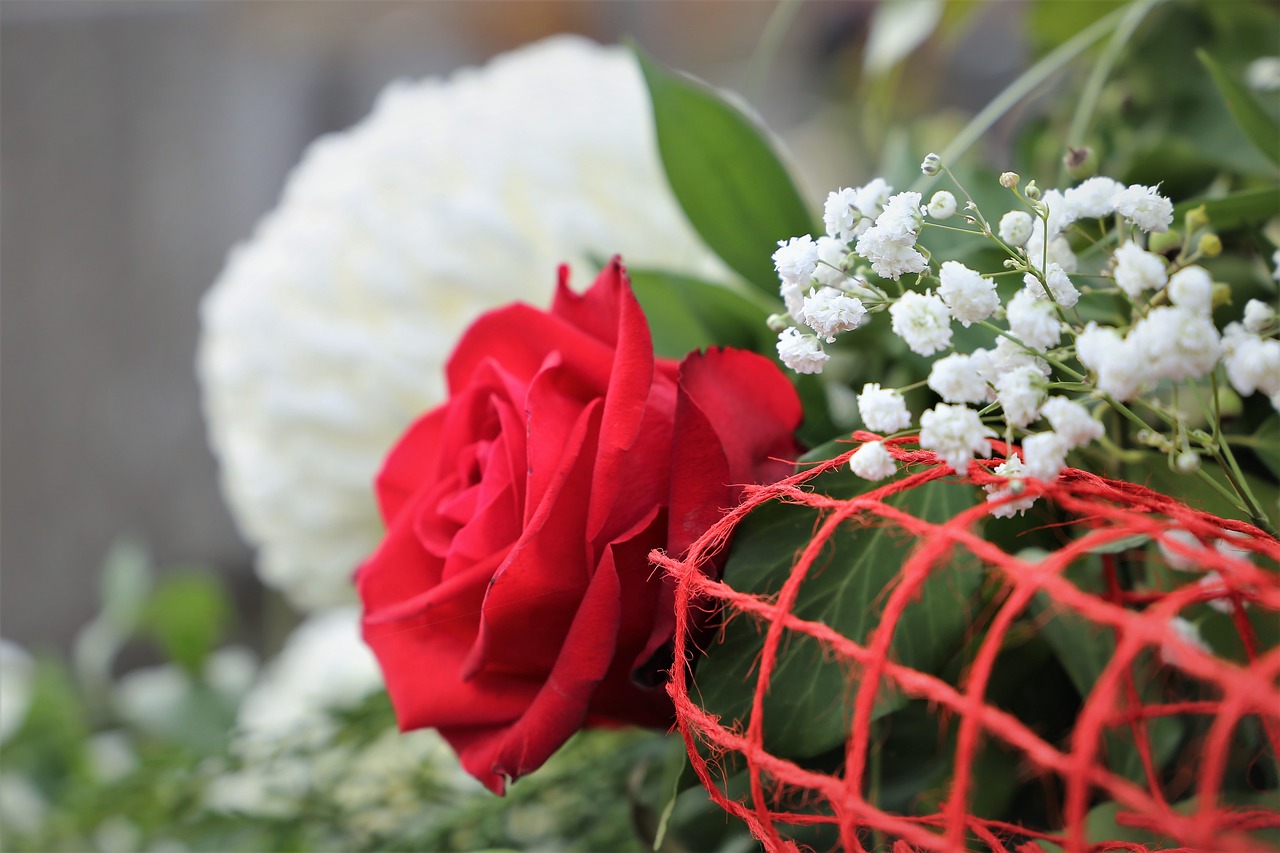 red rose  white chrysanthemum  chaplet free photo