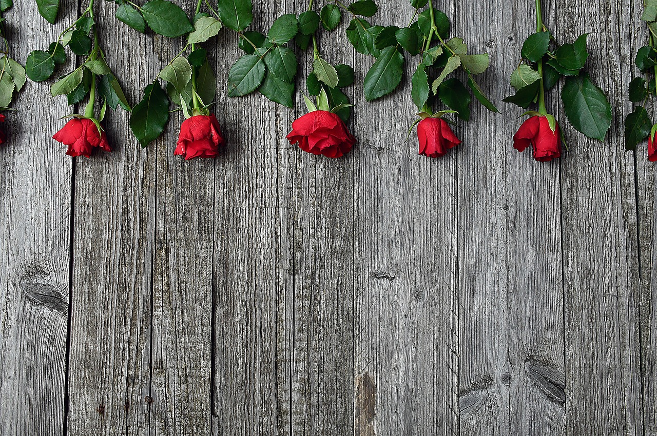 red rose  red rose bouquet  valentine's free photo