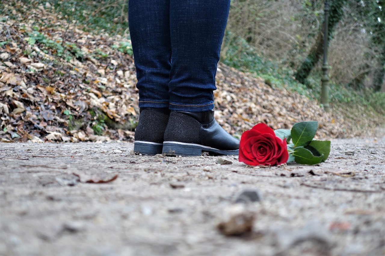 red rose on the floor love sad girl free photo