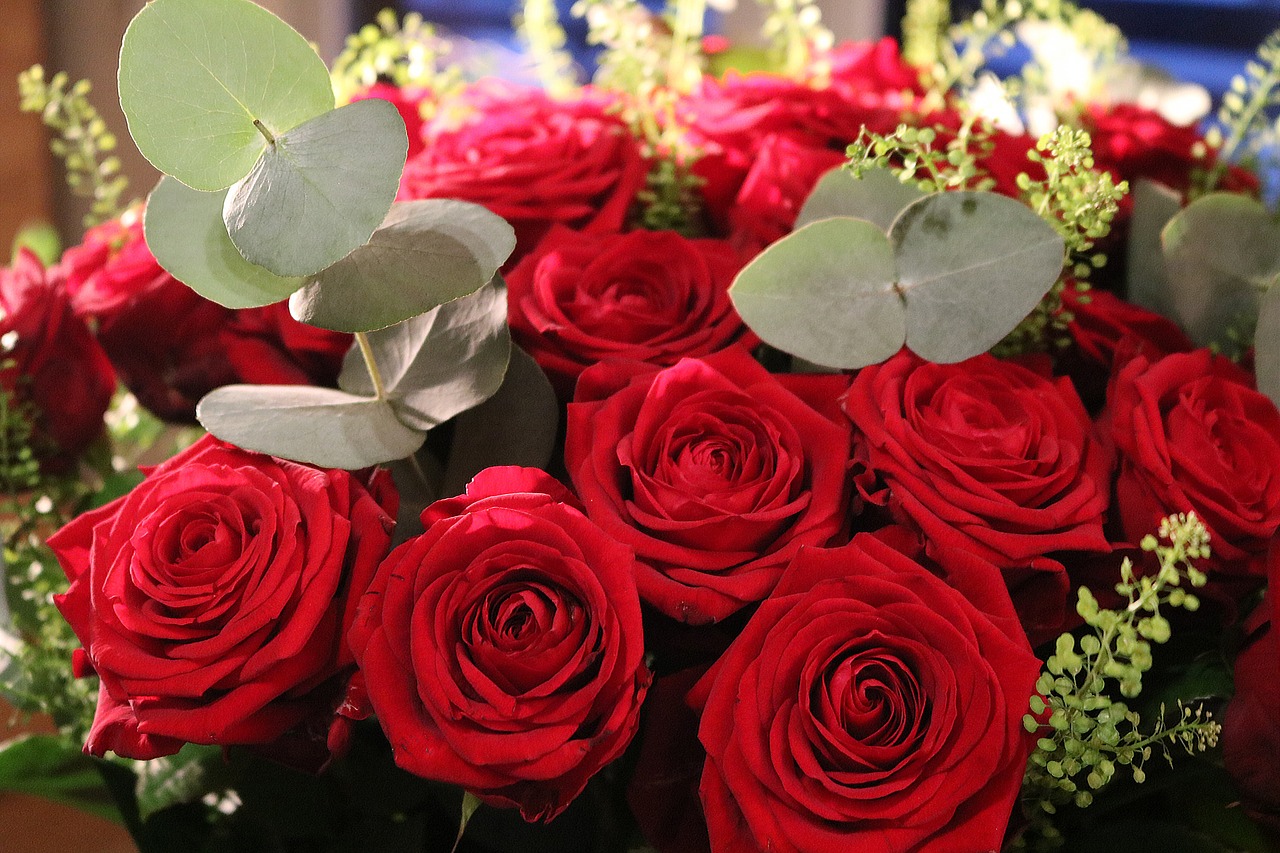 red roses bouquet roses free photo