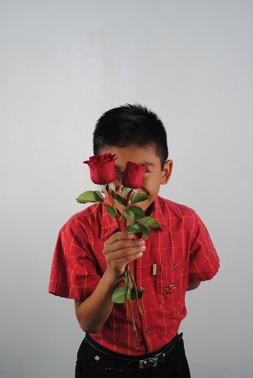 red roses red child free photo