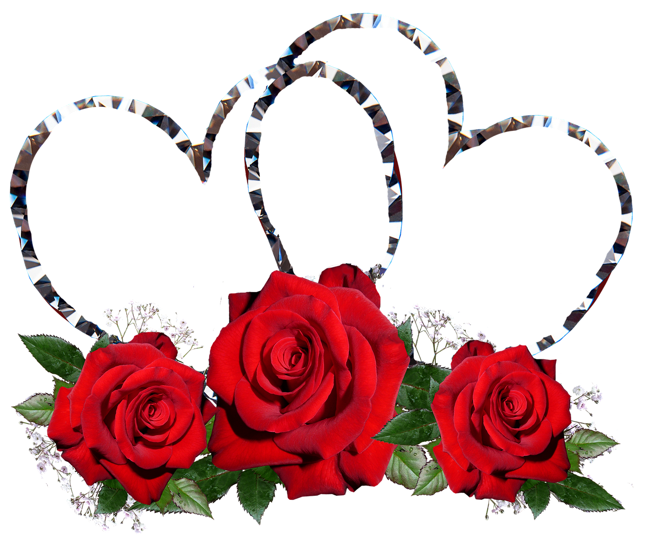 red roses hearts valentine free photo