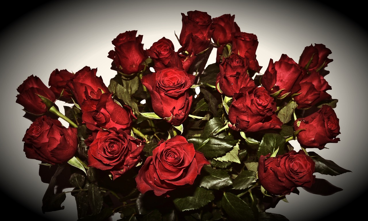 red roses  mourning  last greeting free photo