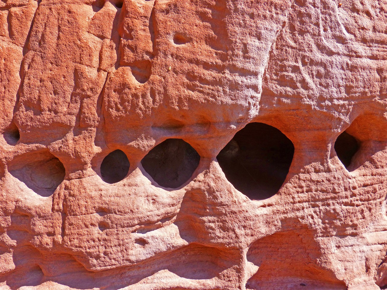 red sandstone holes abstract forms free photo