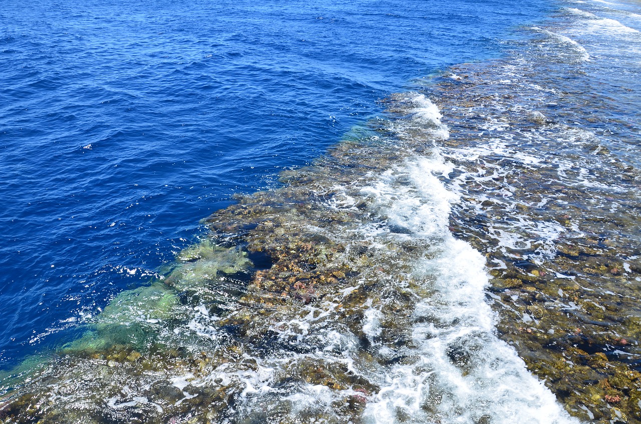 red sea pierce pontoon free photo