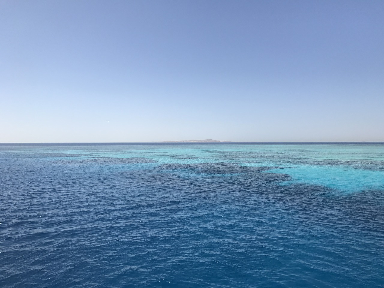 red sea  water  summer free photo