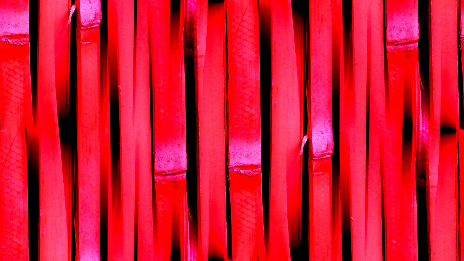 red pink wallpaper free photo