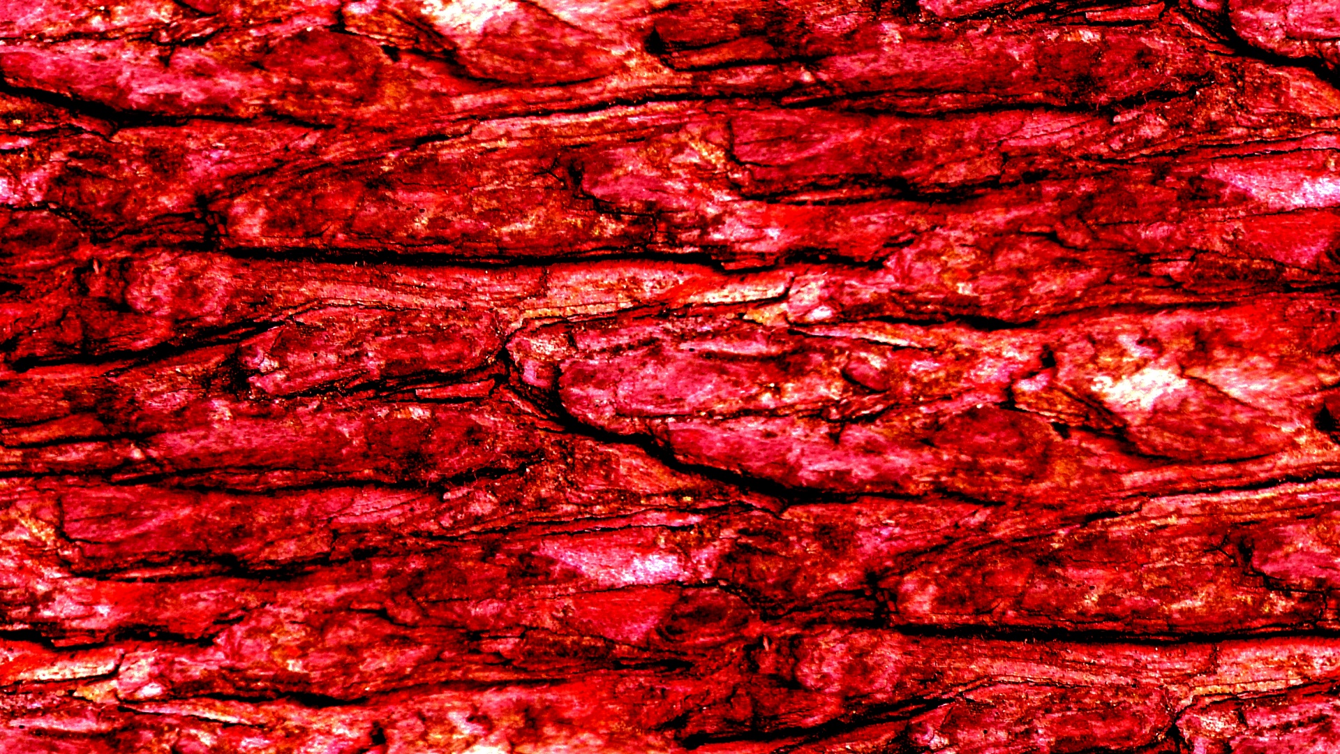 red wallpaper background free photo