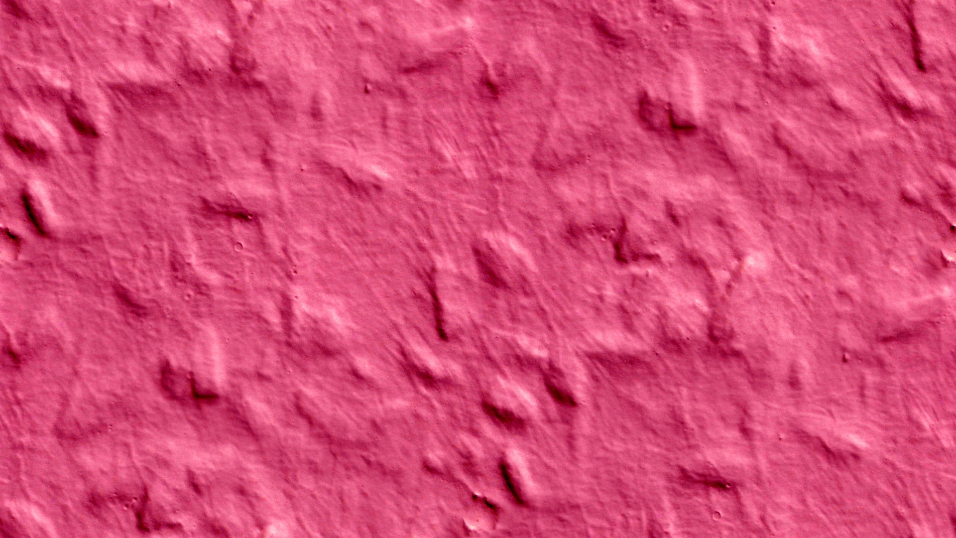 red pink wallpaper free photo