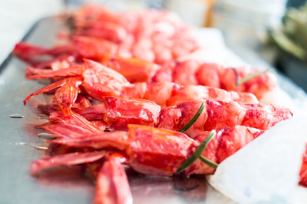 red shrimp spain mediterranean free photo