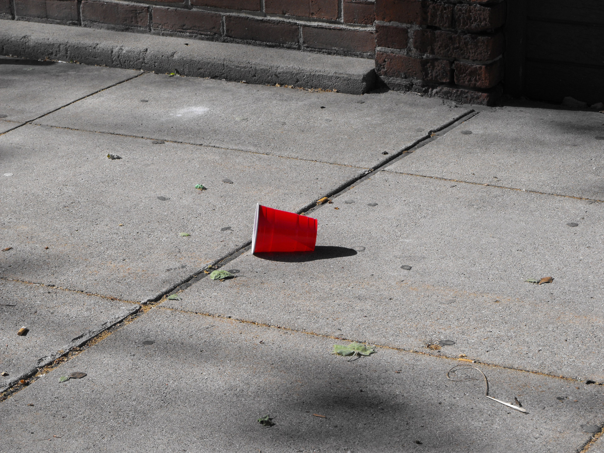 red cup city free photo