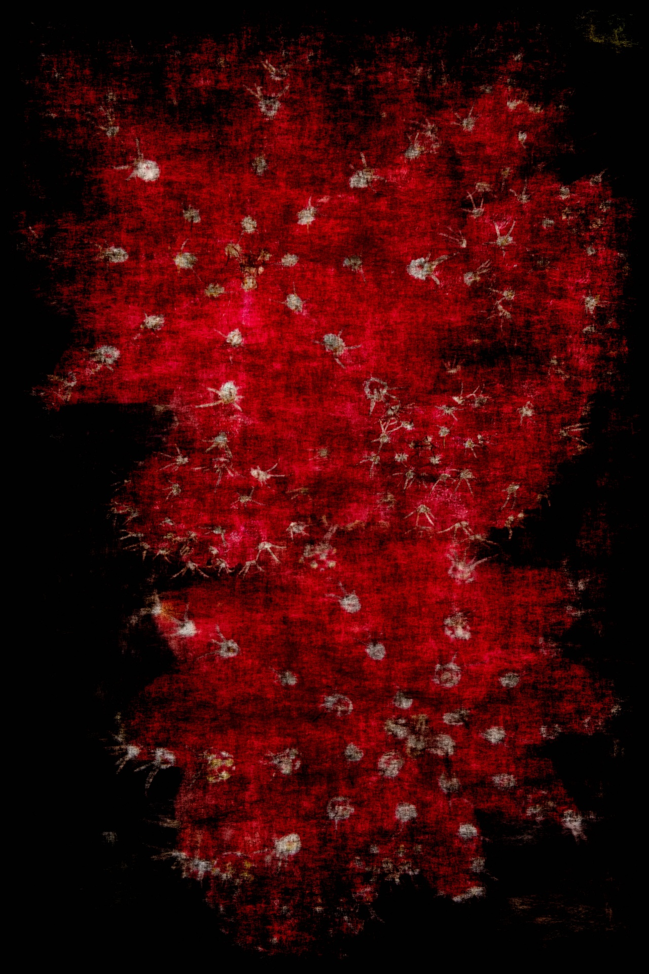 background red sparkle free photo