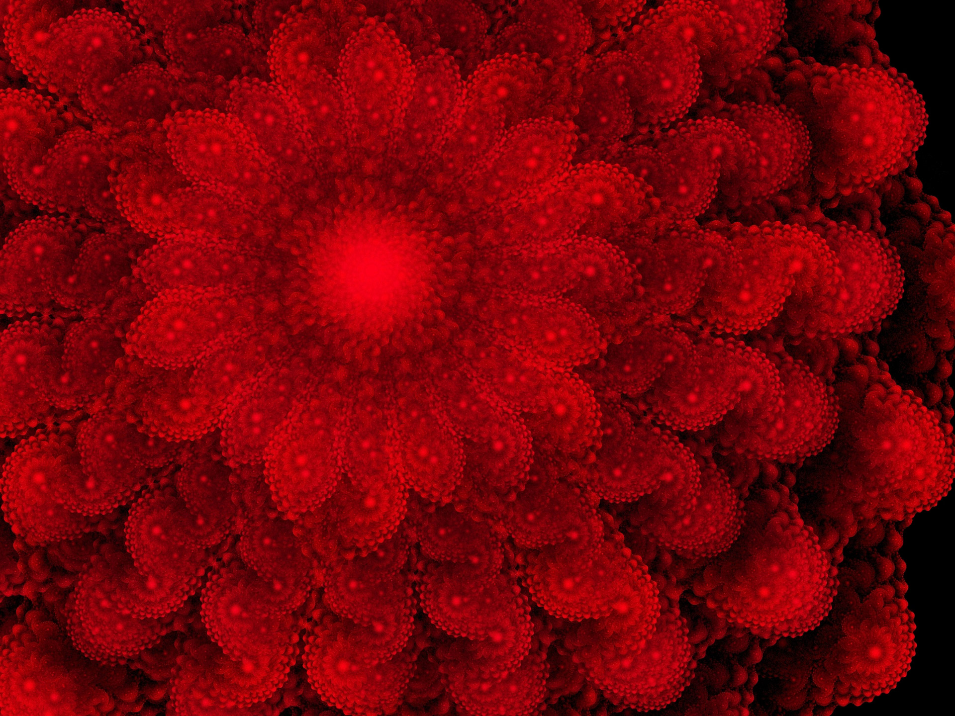red fractal abstract free photo