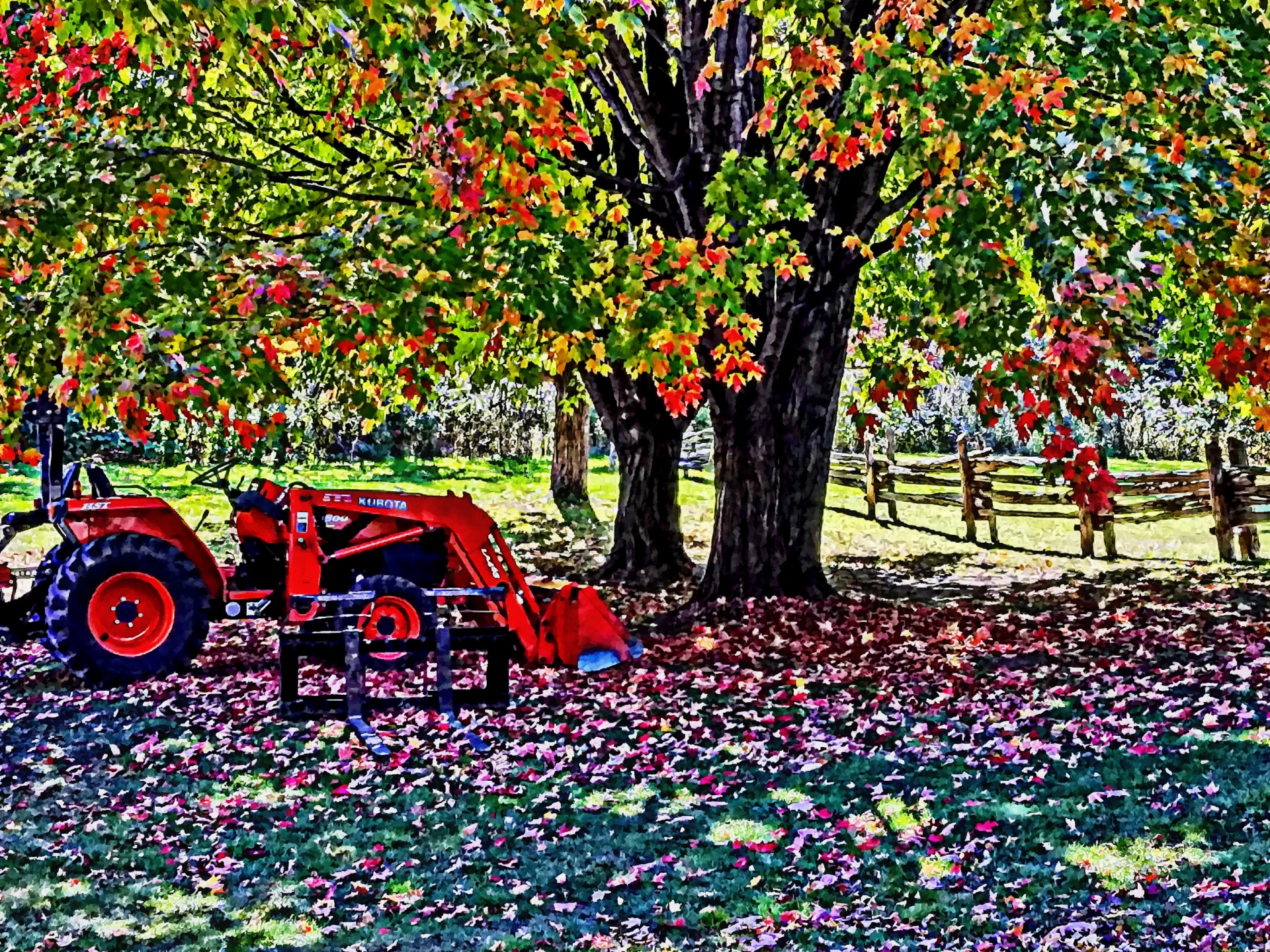 autumn fall foliage free photo
