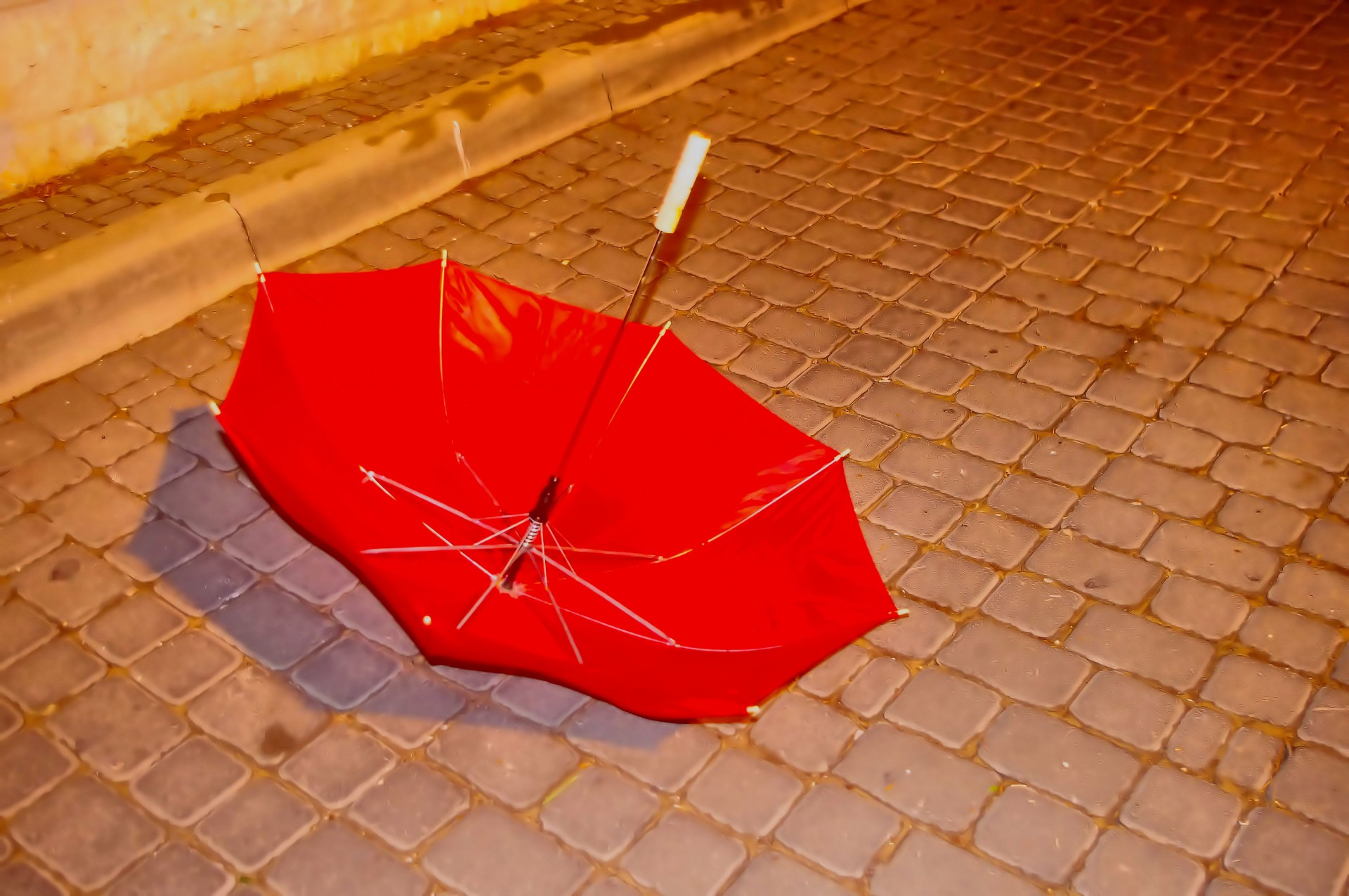 red umbrella lost free photo