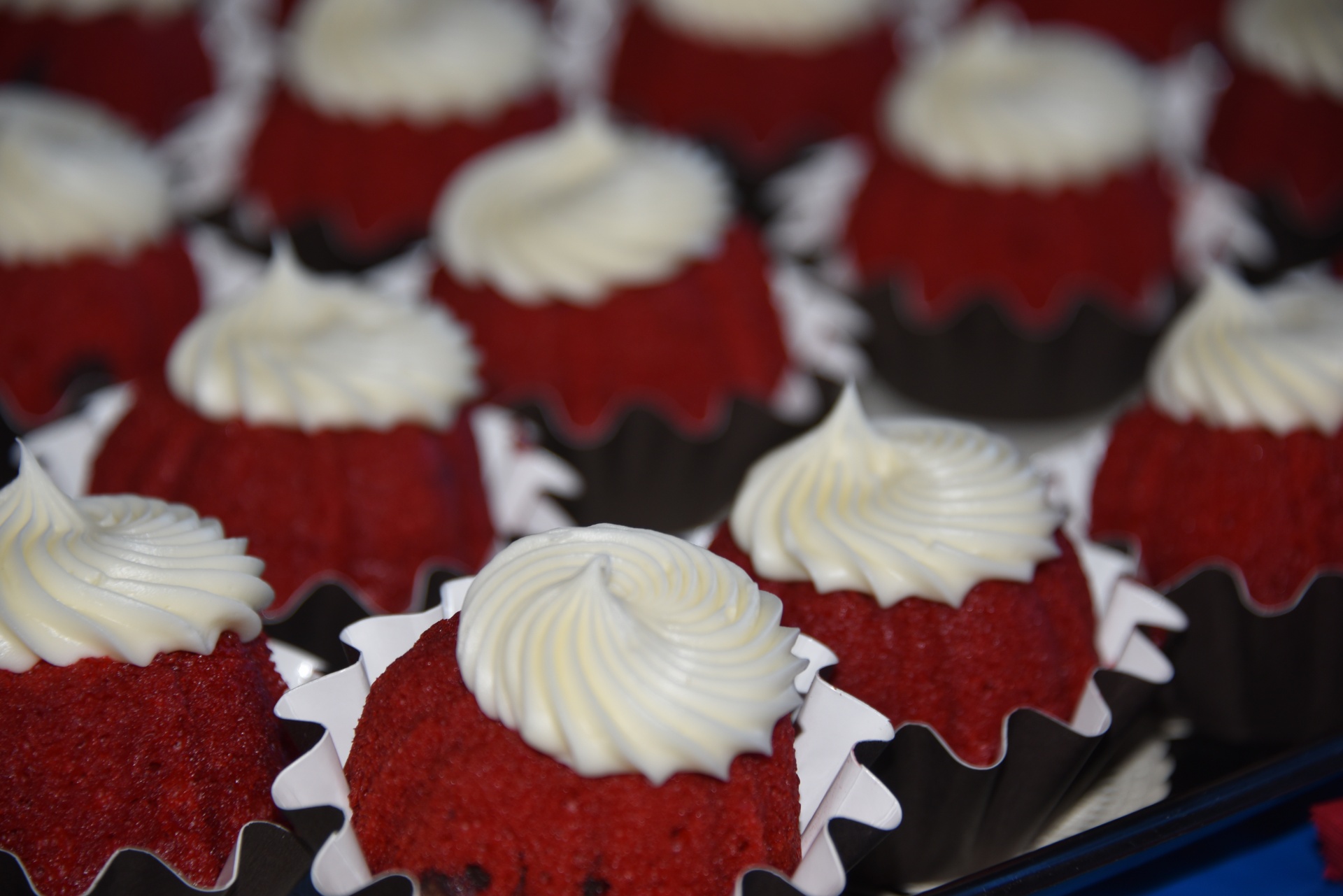red velvet cupcakes dessert free photo