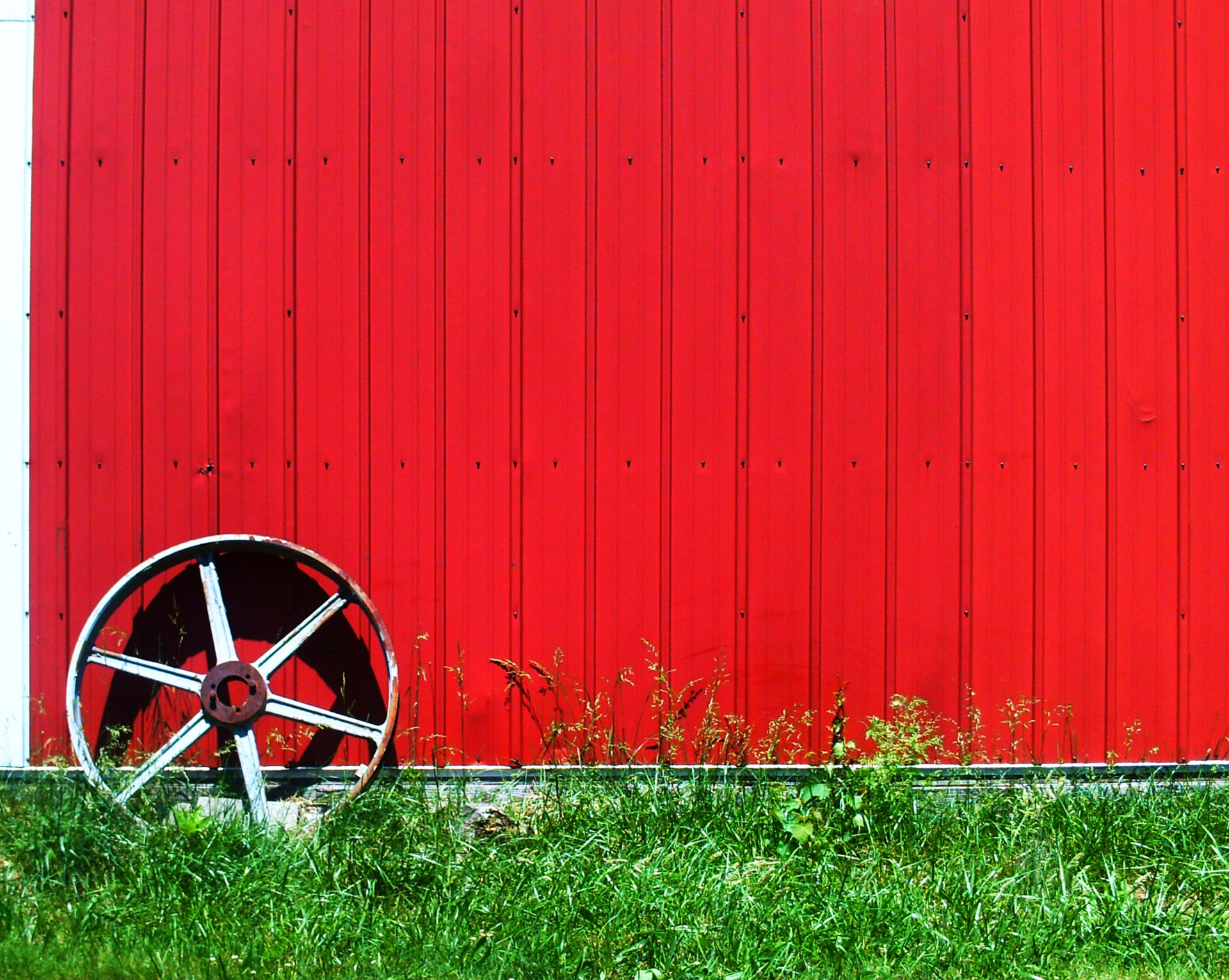 wheel red red wheel free photo