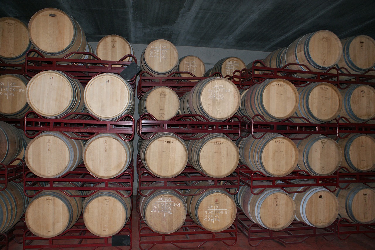 red wine wine barrels spain free photo