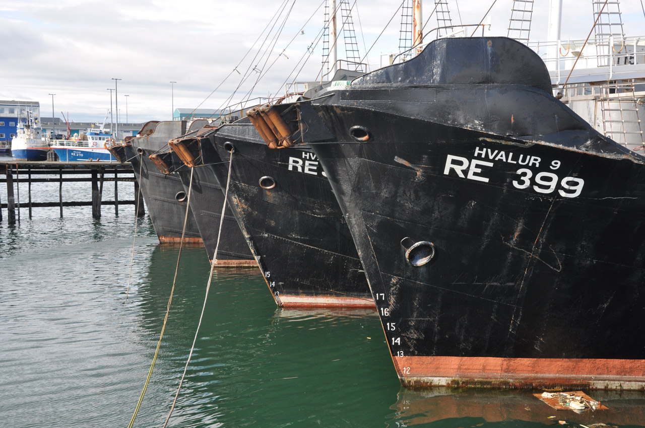 ship roadstead harbor free photo