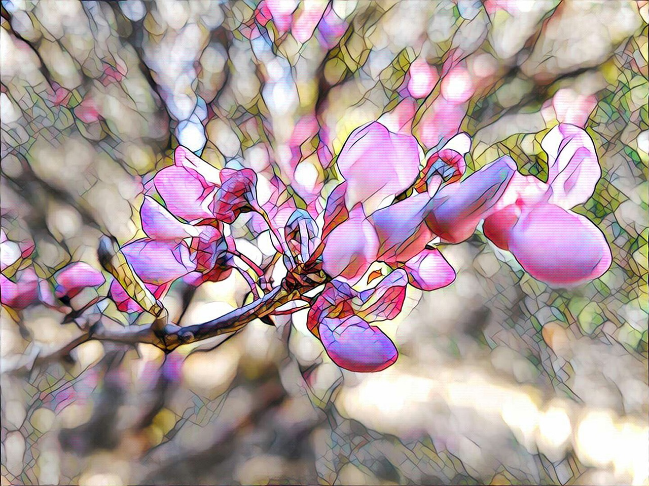 redbud flower stylized free photo