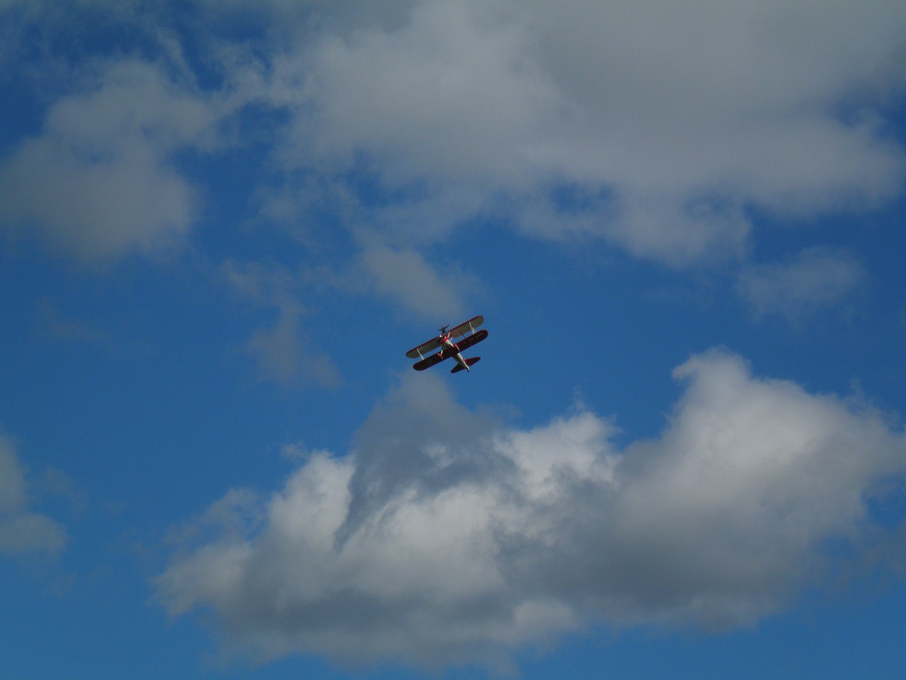 redbull airrace fly aerobatics free photo