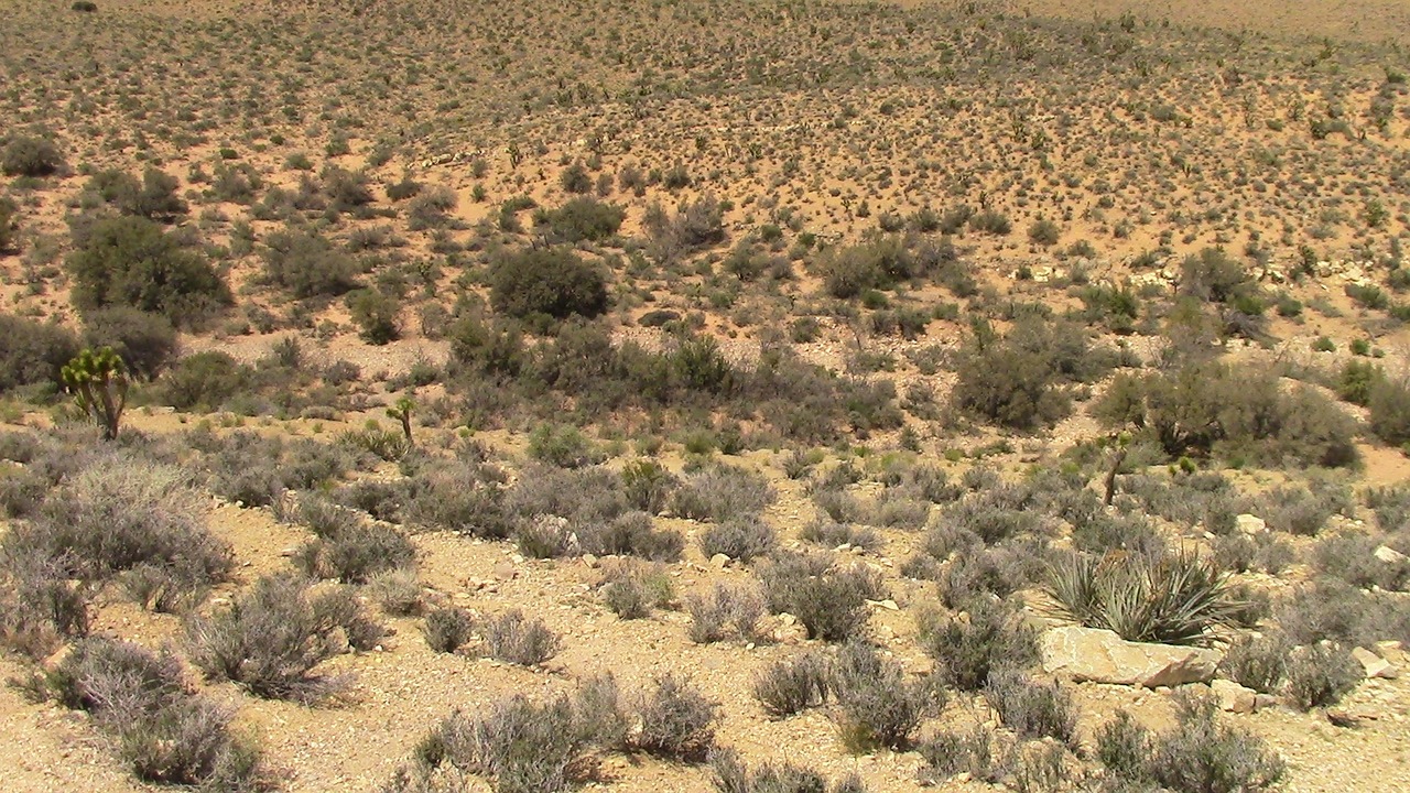 redrock canyon nevada landscape free photo