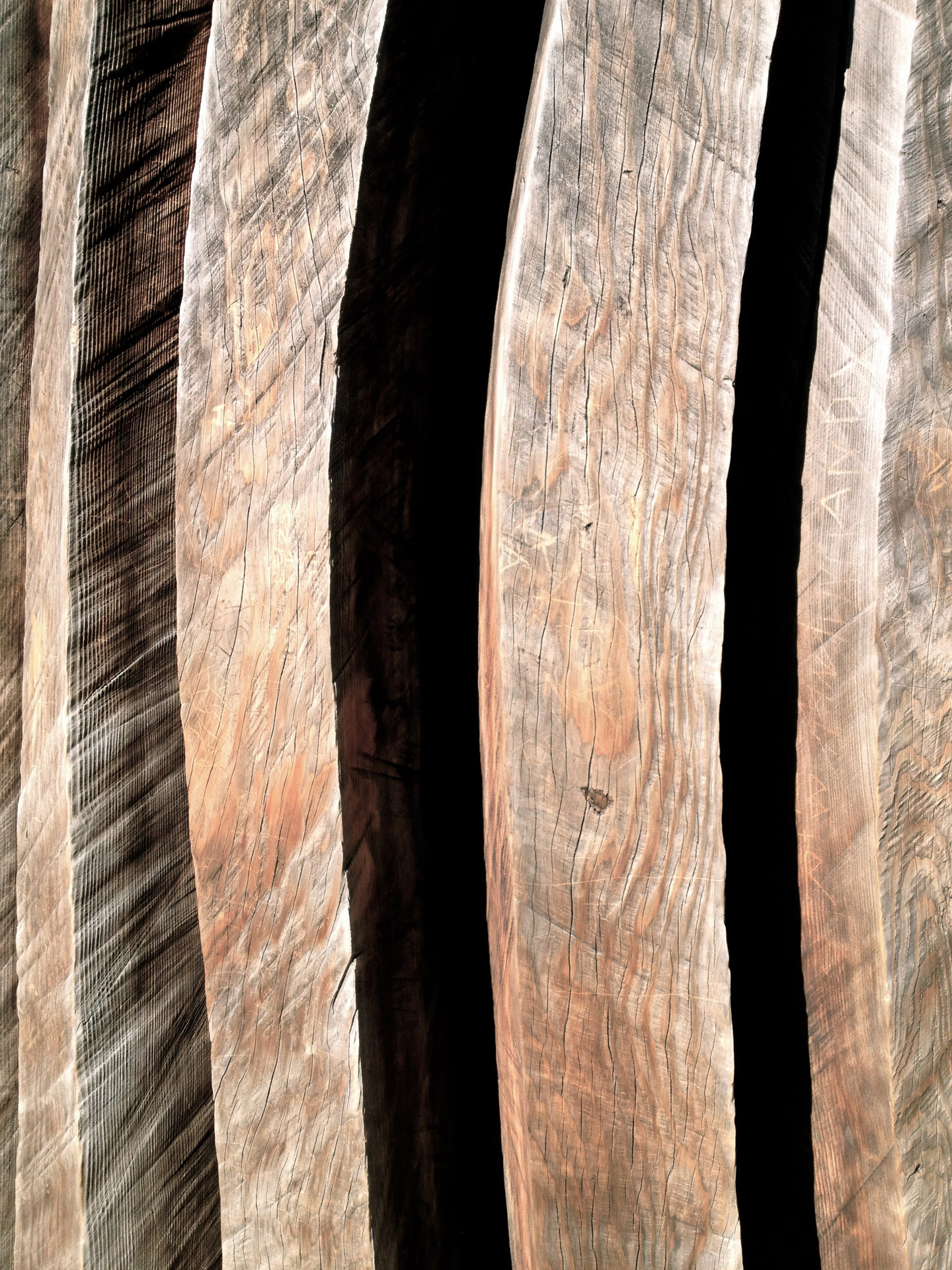 redwood sculpture wood free photo