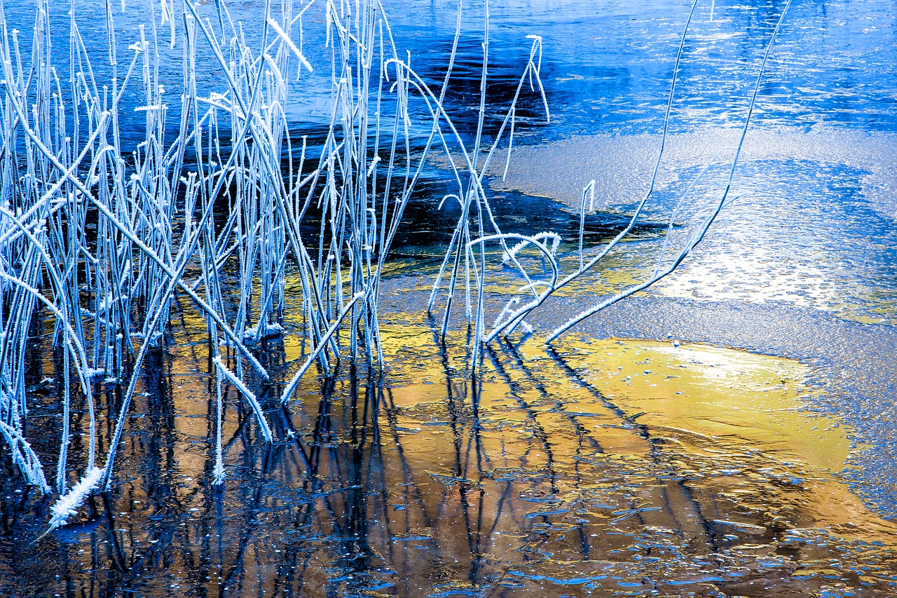 reed ice cold free photo