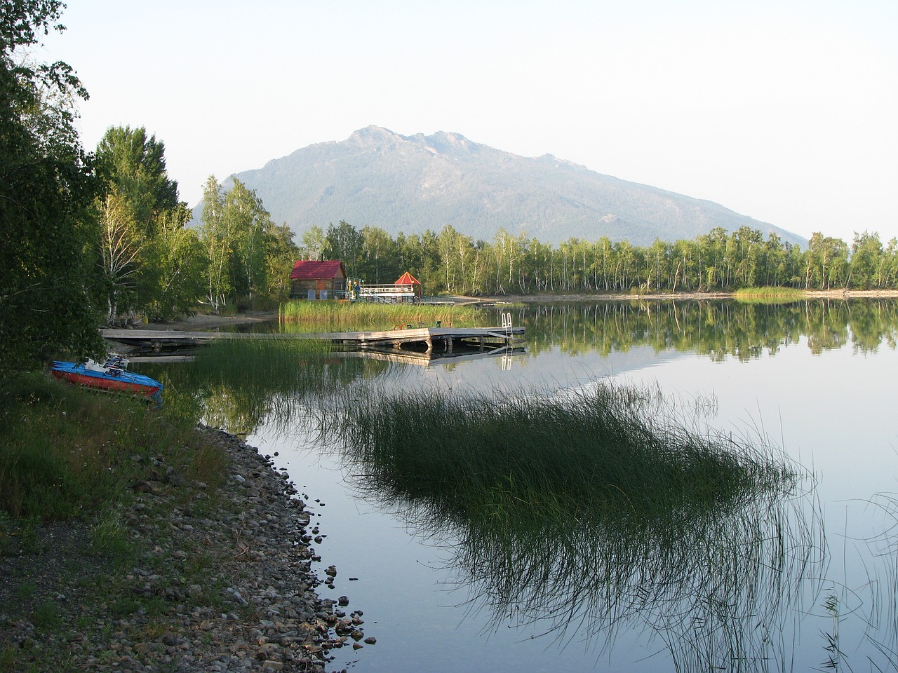 reed lake water free photo