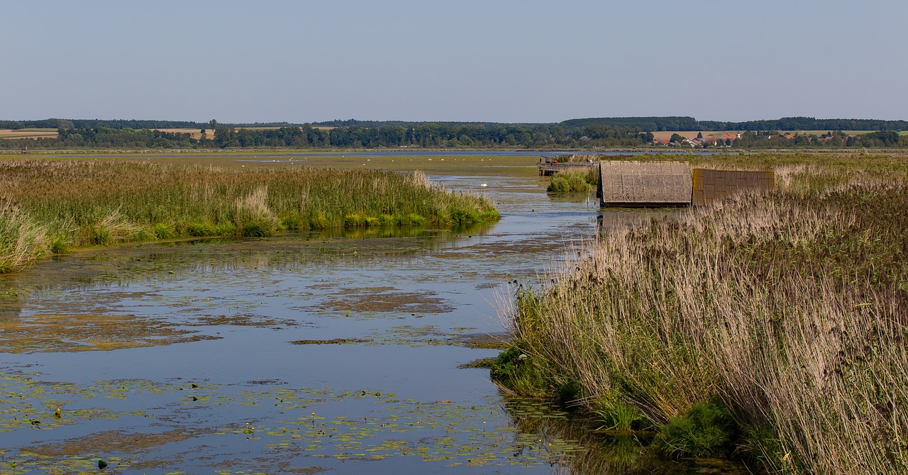 reed riedsee spring lake free photo