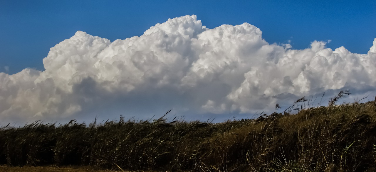 reeds countryside clouds free photo