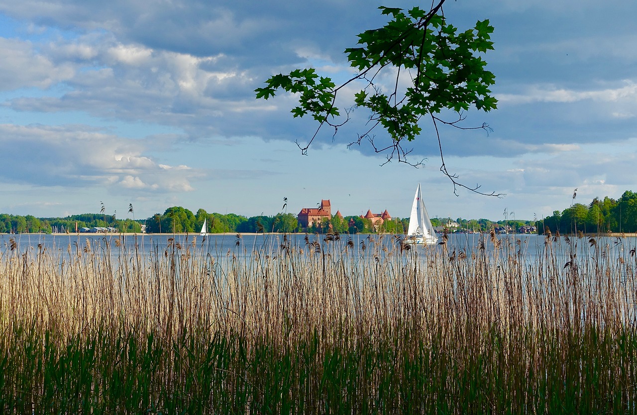 reeds grass yacht free photo